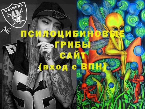 ECSTASY Алексин