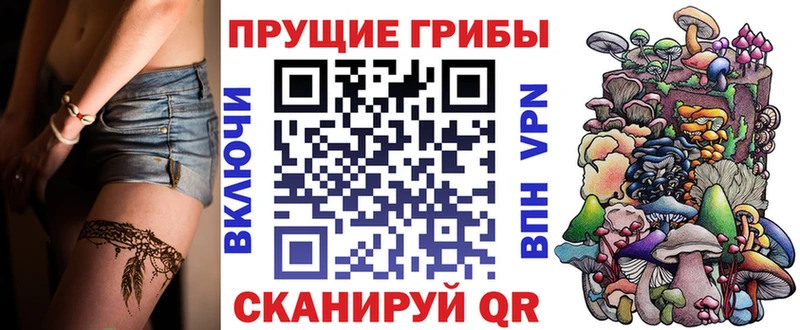 купить наркоту  Туймазы  Псилоцибиновые грибы MAGIC MUSHROOMS 