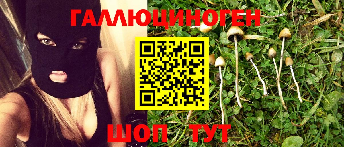 Галлюциногенные грибы Cubensis  Вход с VPN  Туймазы 